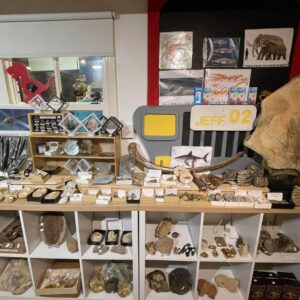 Earth Fossils and Gemstones - Products