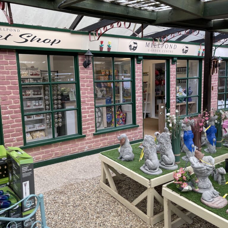 Mill Pond Garden Centre - Shop Exterior