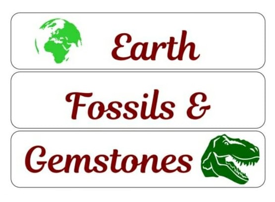 Earth Fossils and Gemstones - Logo