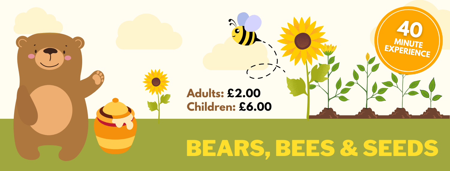 Bears, Bees & Seeds Event