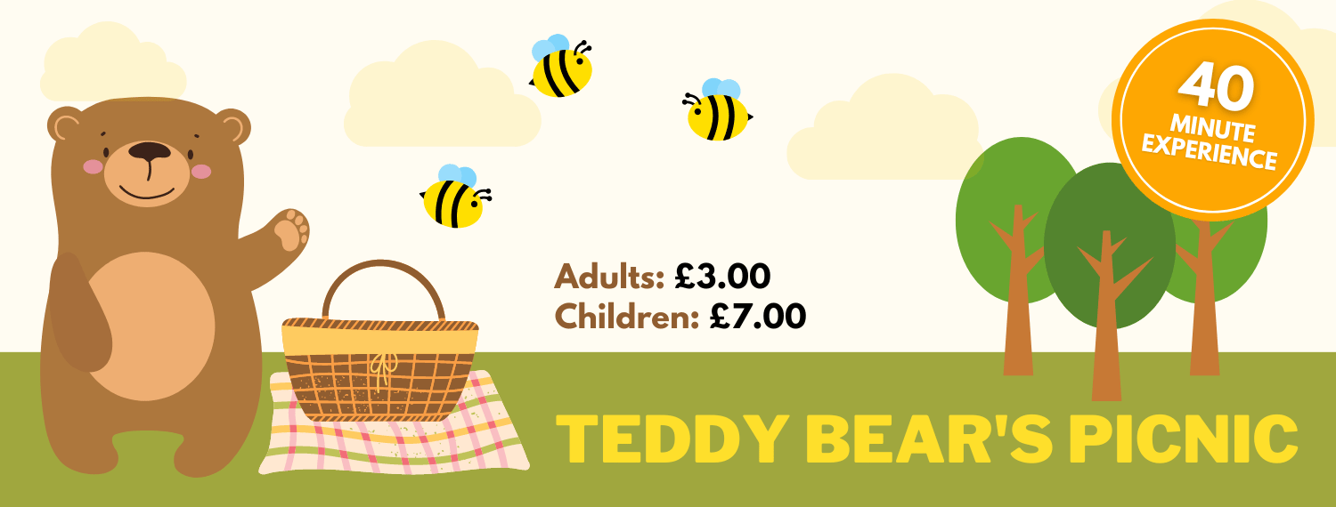 Teddy Bears Picnic