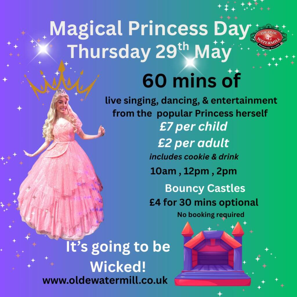 Magical Fun Day