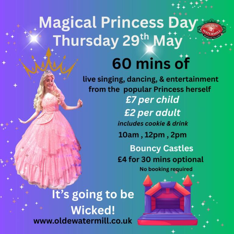 Magical Fun Day