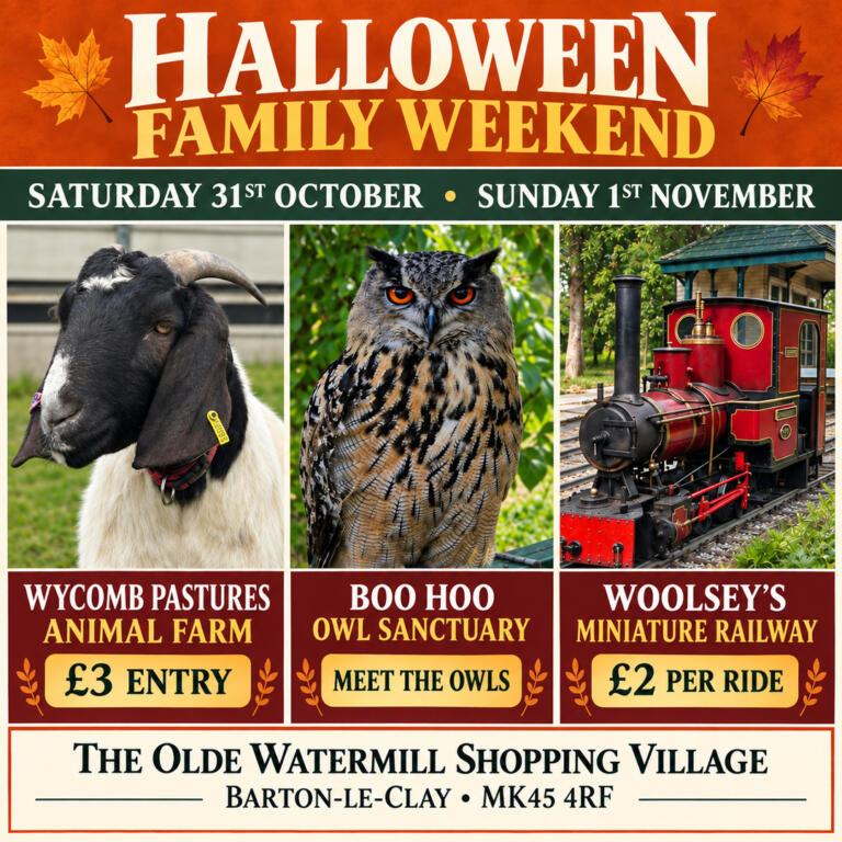 Halloween Family Weekend